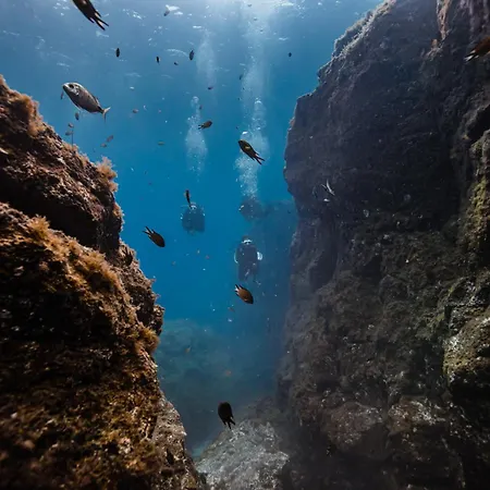 Casa Zen Διαμέρισμα *