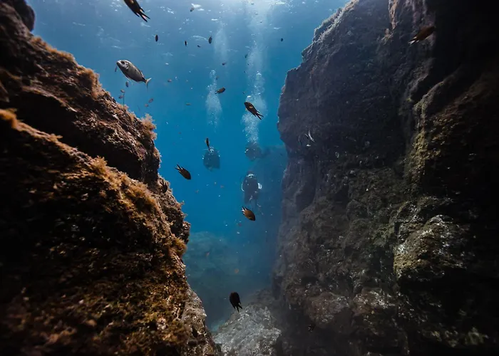 Casa Zen Apartament *